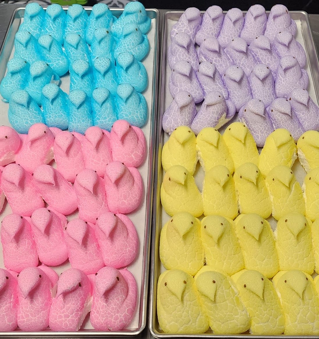 Easter Marshmallow Chicks